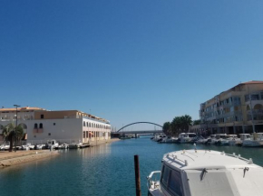 Sète Marina des Quilles, grand T2 climatisé, proche plage, parking privé